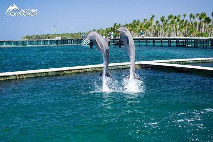 Caribbean And Sun Пунта-Кана Экстерьер фото